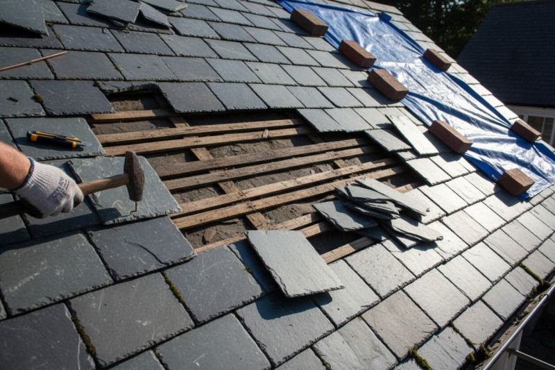 Tar Roof Repair