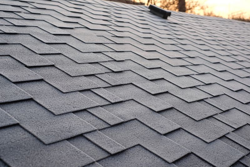 What To Expect During An Asphalt Shingle Roof Installation