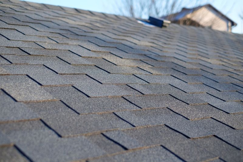 Specialty Roofing Experts